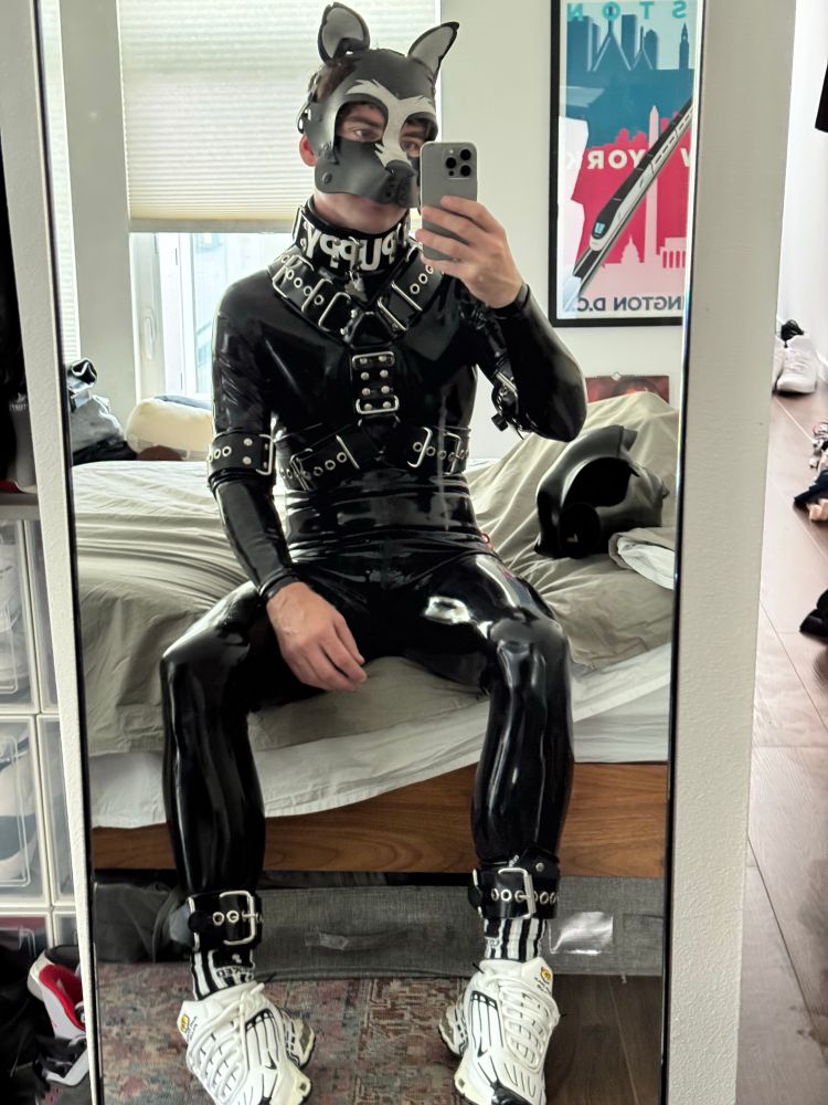Rubber dog in cuffed harness, arm and ankle straps. 