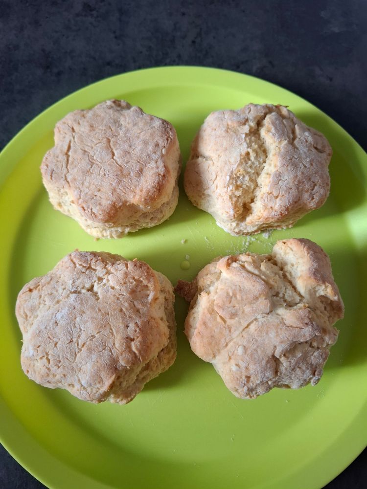 Zu sehrn ist ein hellgrün Plastikteller auf einer dunkelgrauen Arbeitsplatte in Granitoptik. Auf dem Teller sind 4 blumenförmige Scones (normal sollen sie rund sein, aber ich hatte nur Blumenausstecher). 