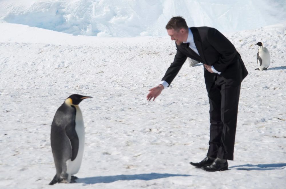 Man in tuxedo with hand outstretched to penguin giving thanks 