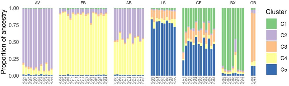 Stacked bar chart showing genetic ancestry (from STRUCTURE analysis) of populations of shining guest ants across seven different sites in England and Scotland.