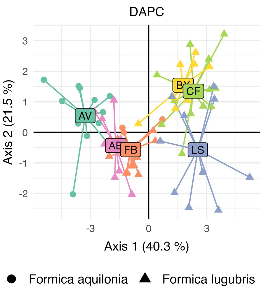 DAPC scatter plot showing clusters of ant genotypes in six populations of shining guest ants in England and Scotland.