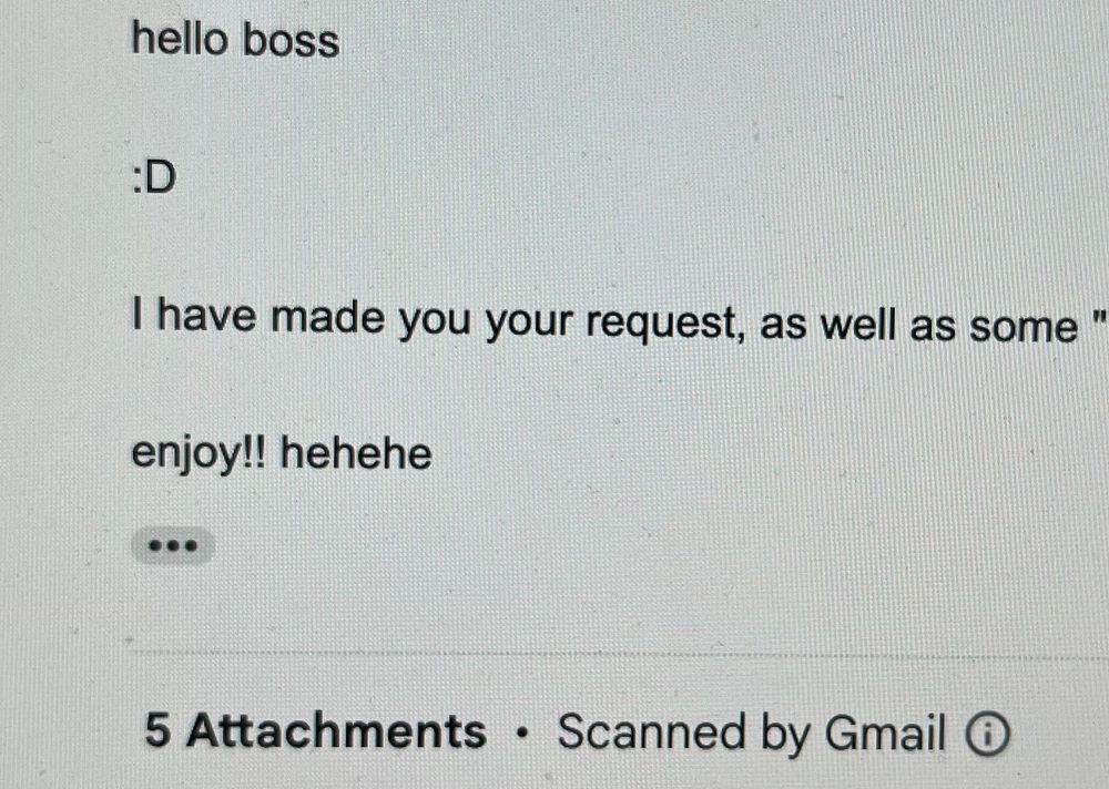 Photo of computer screen, cropped email:

hello boss
:D
I have made you your request, as well as some "
enjoy!! hehehe
5 Attachments