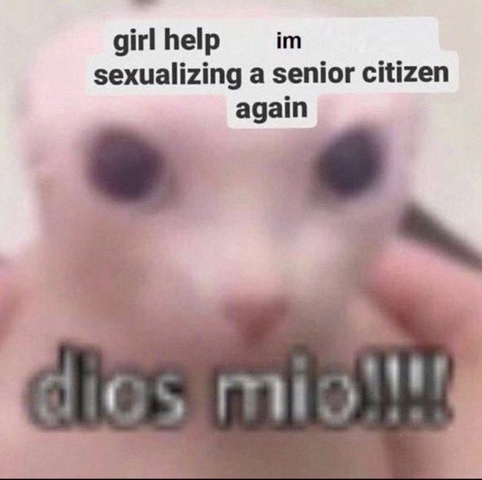 imagem em baixa qualidade de um gato sem pelos escrito "dios mio!!!!" embaixo, s em cima está escrito "girl help im sexualizing a senior citizen again"