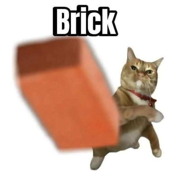 imagem de um gato meio marrom bravo com um braço cruzando seu corpo, e na frente, um tijolo desfocado, dando a impressão de que o gato está atirando um tijolo

em cima está escrito numa fonte branca com contorno preto a palavra "brick", que significa "tijolo" em inglês