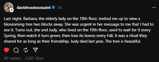 post is dated 4/19/2024. post reads: Last night, Barbara, the elderly lady on the 18th floor, invited me up to view a blossoming tree two blocks away.  She was urgent in her message to me that I had to see it.  Turns out, she and Judy, who lived on the 10th floor, used to wait for it every Spring, then watch it turn green, then lose its leaves every Fall.  It was a ritual they shared for as long as their friendship.  Judy died last year.  The tree is beautiful. 