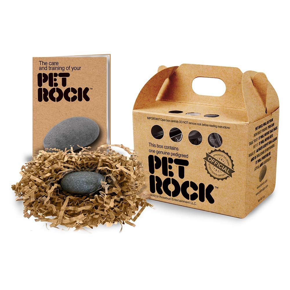 Picture of a Pet Rock, its packaging, and its manual. 