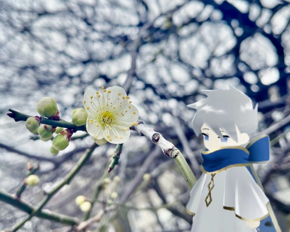 梅の花とヨミが並んでいます。可愛らしいですね。