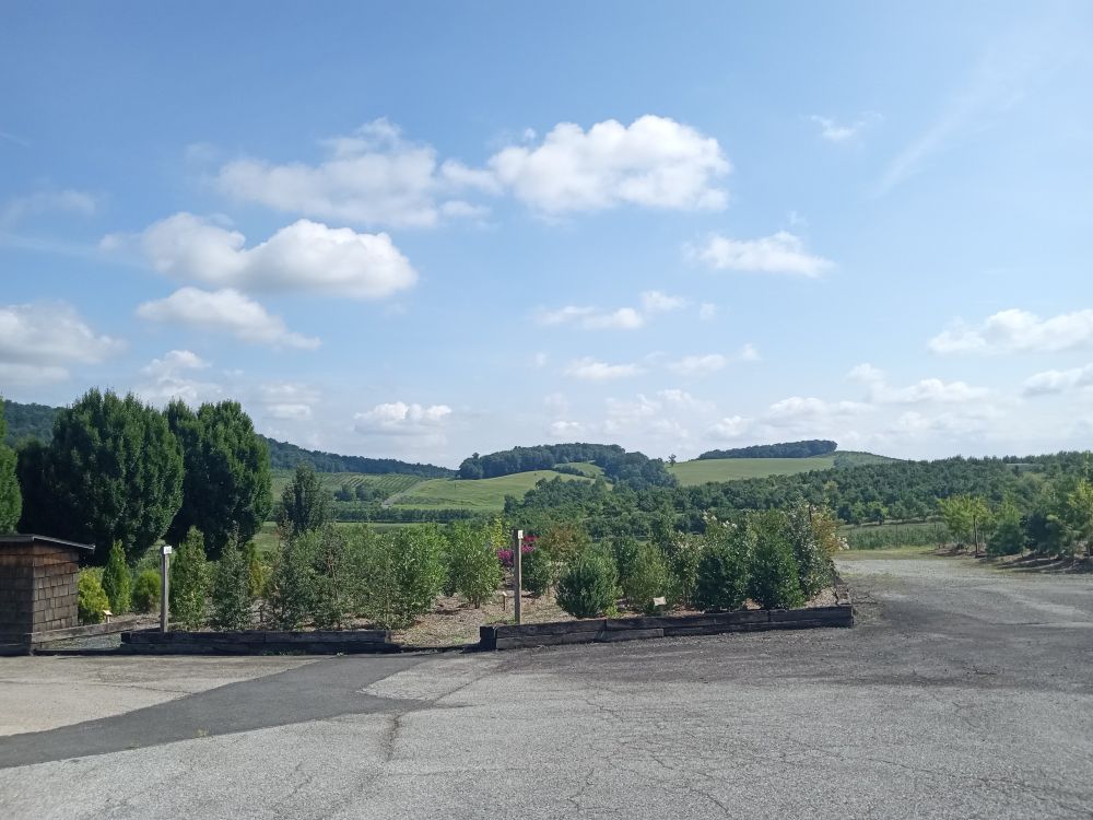 Overlooking apple orchard's in Arendtsville ,Pa. near Gettysburg