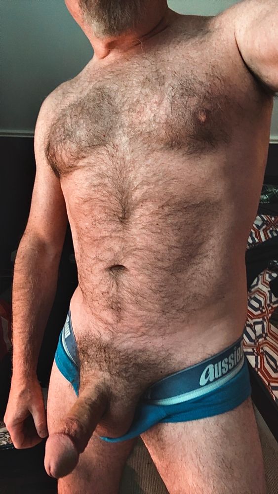 Furry Dad wearing blue Aussiebum briefs, pulled down to release his hard fat cock. 