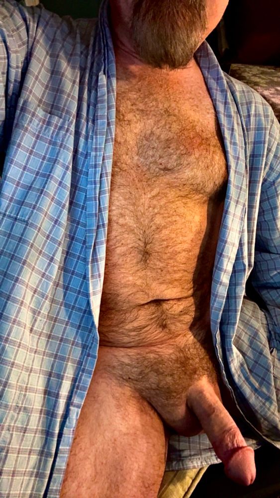 Furry naked Dad wearing only an opened blue plaid robe, hard thick cock visible.  