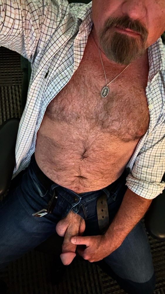 Dad in the office, shirt unbuttoned and pants unzipped, hard fat cock hanging out. 