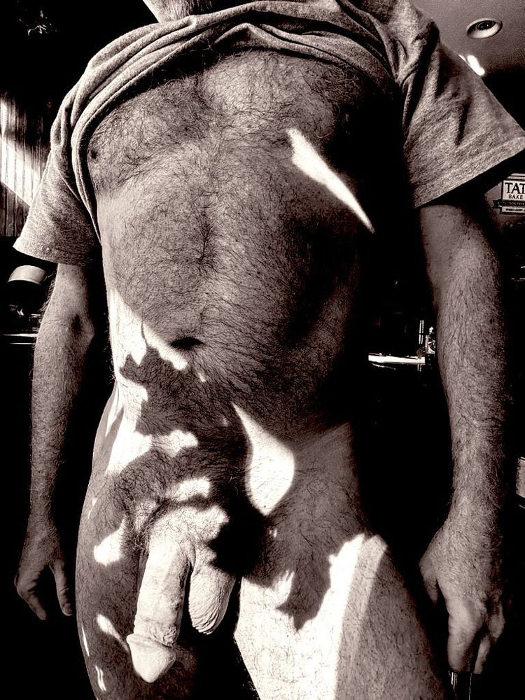 Black and white image of a naked furry Dad wearing only a tshirt pulled above his chest as a beam of sunlight falls across his soft fat cock. 