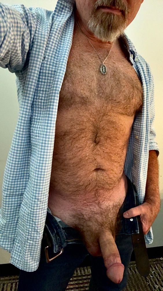 Furry Dad, shirt unbuttoned and jeans unzipped, fat cock hanging out. 
