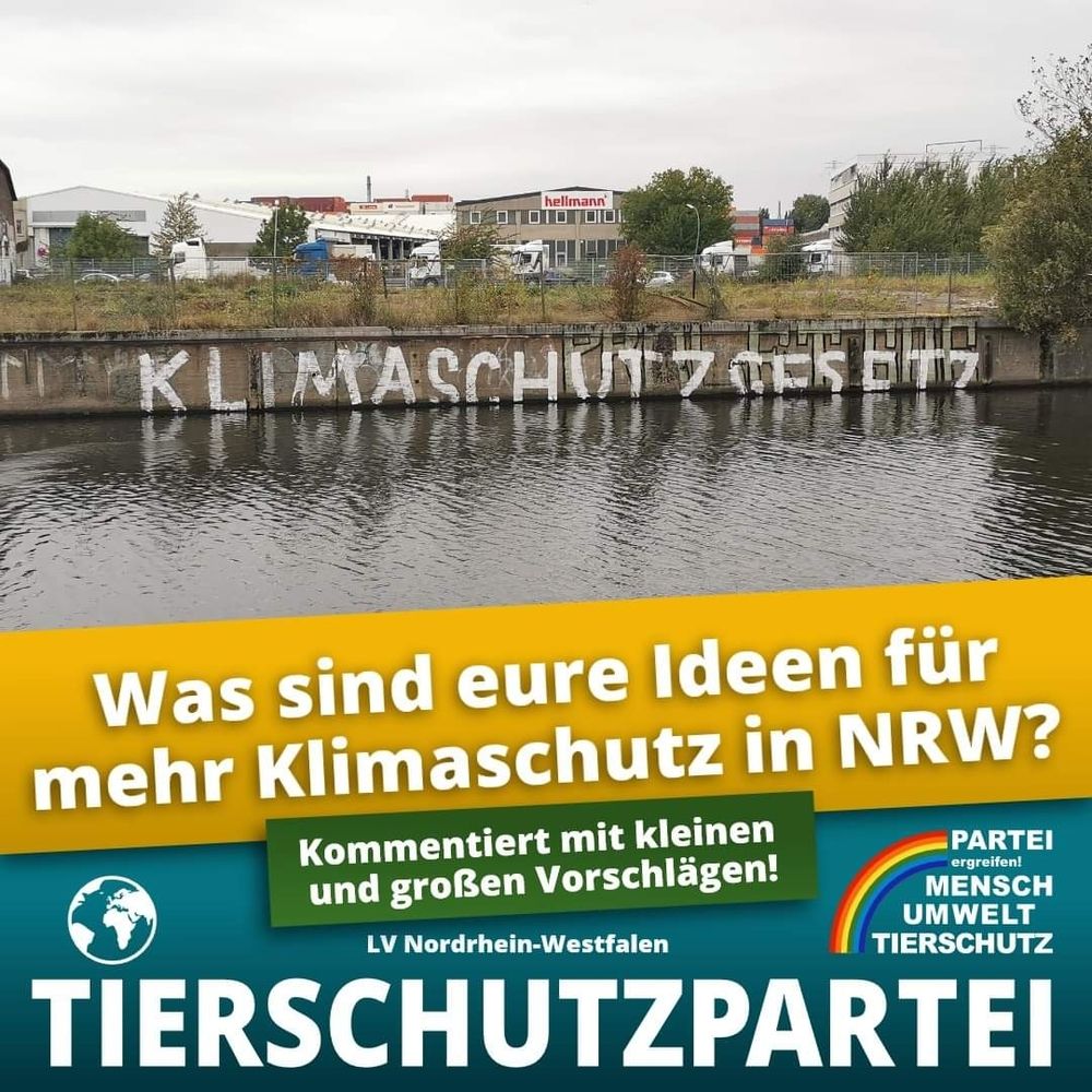 Elbeufer mit graffiti "Klimaschutzgesetz"