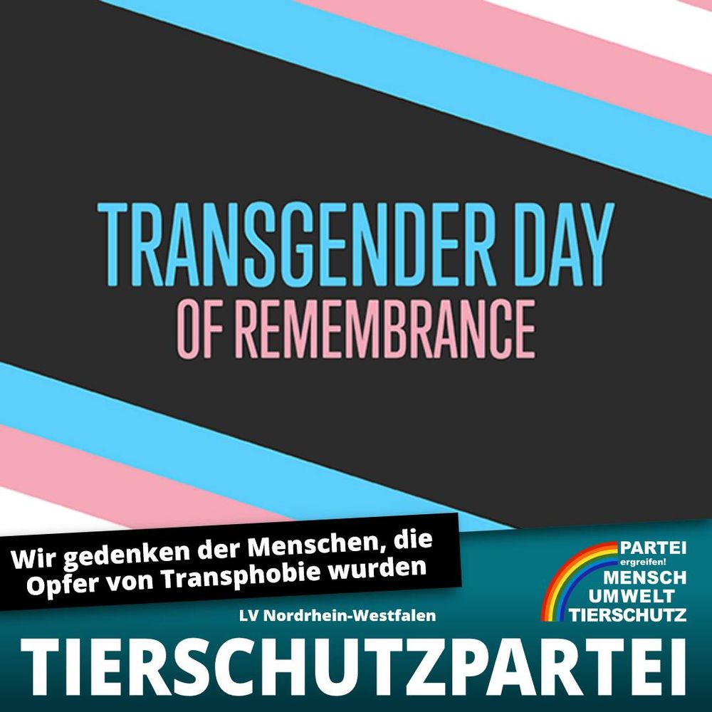 Hintergrund in den Transgenderfarben
In Blauer Schrift Transgender Day
In Rosa Schrift of Remembrance

Wir gedenken der Menschen, die Opfer von Transphobie wurden 
LV Nordrhein-Westfalen
Tierschutzpartei