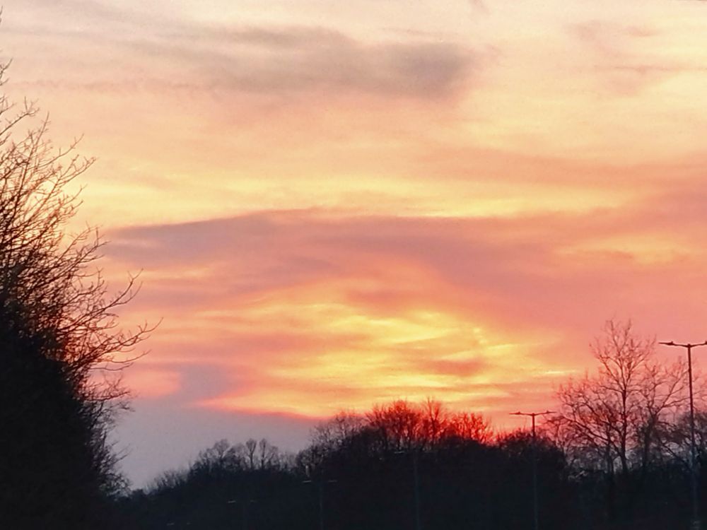 A sunset with a yellow-orange sky, and a silhouette of trees in front 