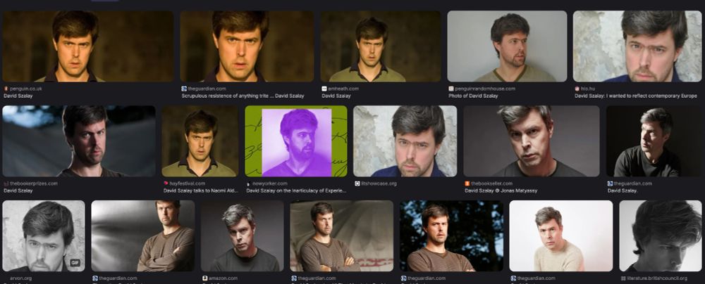 A grid of professional headshot photographs of an author named David Szalay, who is a man with dark salt and pepper hair, in various poses and lighting conditions. The images are from different photo shoots and shoe him in different clothing including dark shirts and sweaters. Each photo is labeled with different website sources including The Guardian, Penguin Random House, The New Yorker, and other literary or media publications. The photos show him from different angles - some facing forward, others in profile, with varying expressions from serious to contemplative, but he is not smiling or looking remotely cheerful in any of them.