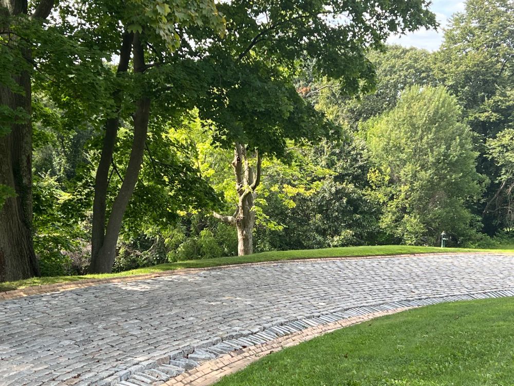 Just another photo of a park, but with a stoned-path, the path curves near the end of the photo.