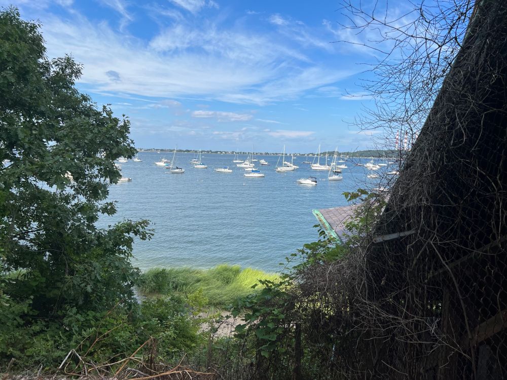 Photo of a lake, showing some white-boats, and lotta bushes/foliage!