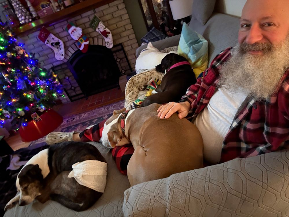 Bearded guy with 4 dogs on a couch, holiday decorations in the background.