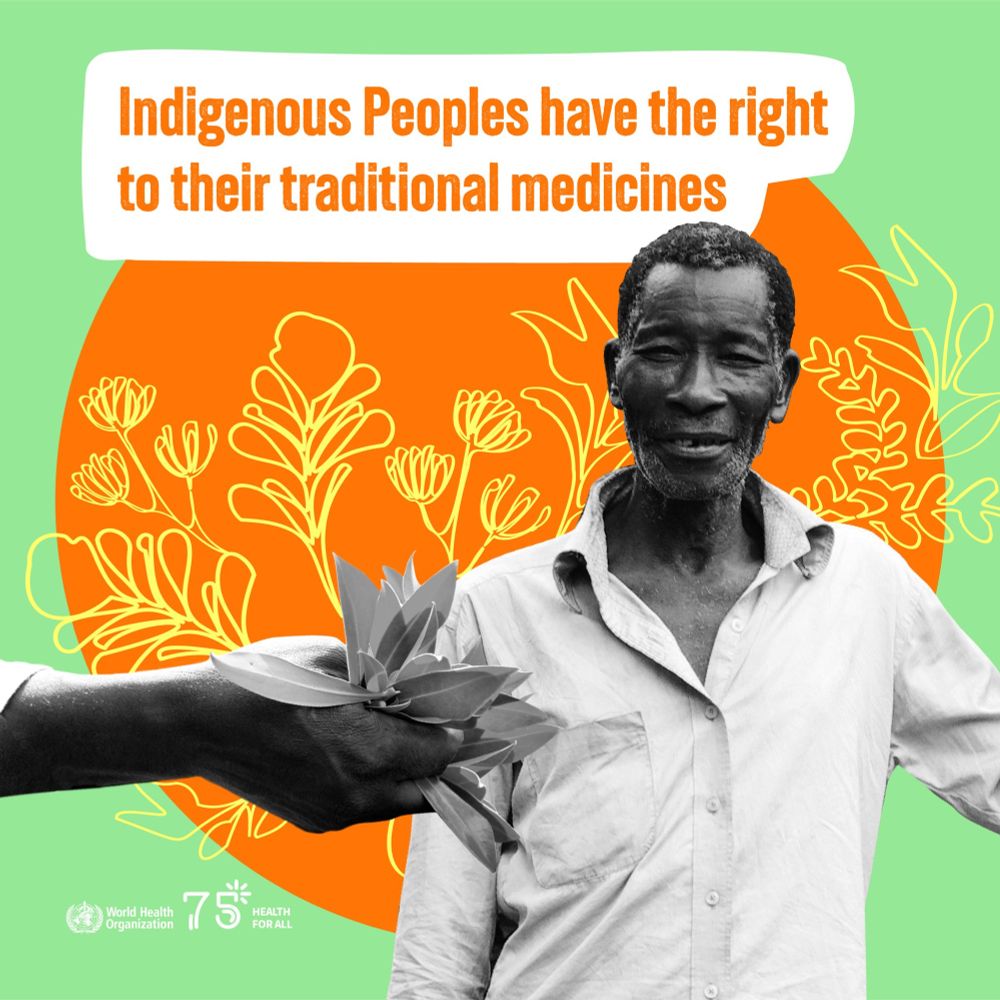 A man stands against a colourful background with green and orange sections and yellow floral line drawings. Text reads: “Indigenous Peoples have the right to their traditional medicines.”