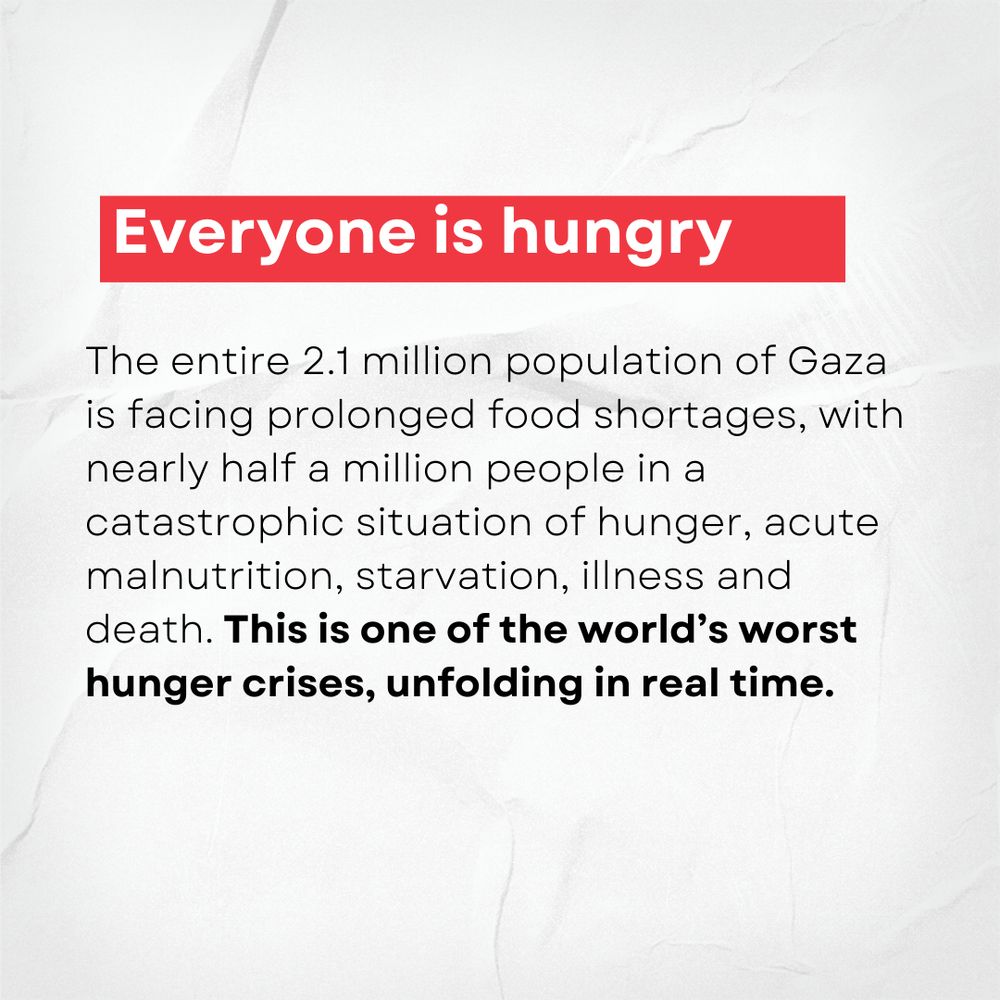 The entire 2.1 million population of Gaza is facing prolonged food shortages, with nearly half a million people in a catastrophic situation of hunger, acute malnutrition, starvation, illness and death. This is one of the world’s worst hunger crises, unfolding in real time.