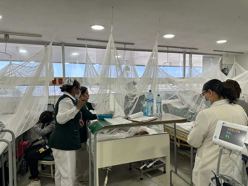 Experts are assessing hospitalized dengue patients and simultaneously providing on-the-job training to hospital staff on proper dengue management in Mexico.