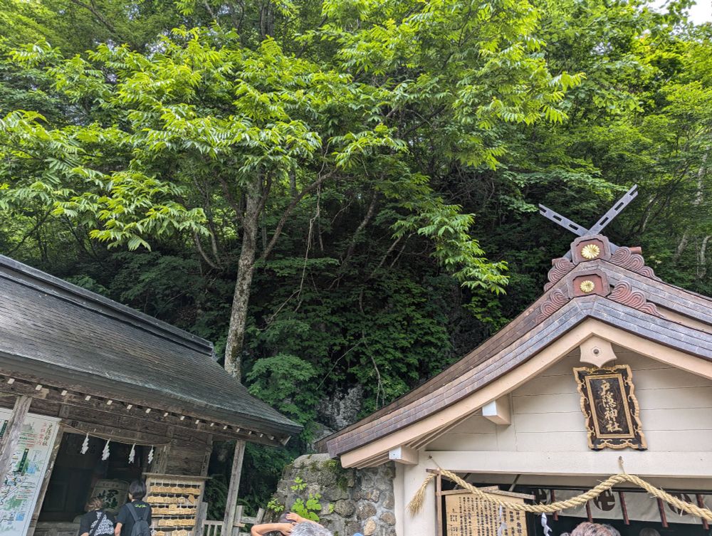 戸隠神社奥社屋根