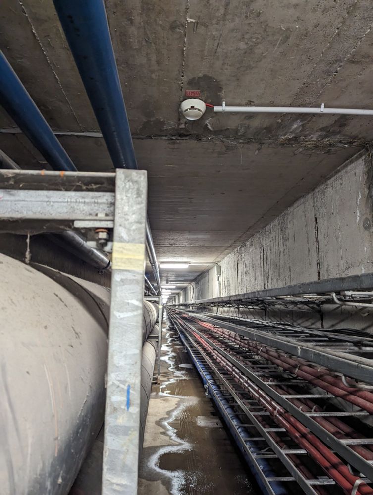 A narrow underground tunnel with pipes on the left and arrays of cables on the right. It's all grey down there, with bright lines coming from above.