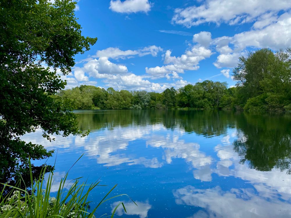 Photo showing a lake, surrounded by trees. The water is calm and reflects both the green trees and the sky, which is blue with some patches of white cloud. In the left foreground are some green plants and tree branches. 