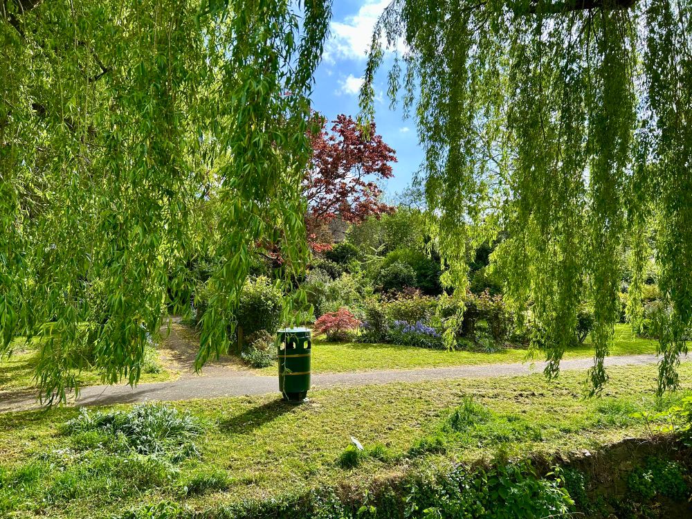 Photo showing a flower garden in a city park. The view is dominated by hanging willow branches in the foreground. Also in the foreground, is lined channel containing the Mutton Brook (which is out of sight). In the centre of the image, a dustbin guards a metalled path, and behind the path are shrubs, flowers and trees in a range of colours. We can only see a tiny piece of sky between the willow branches but it is blue with some clouds. 