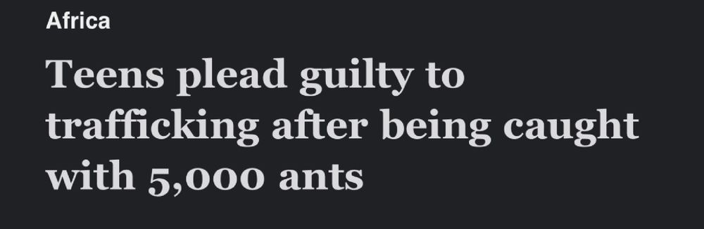 Headline: Teens plead guilty to trafficking after being caught with 5000 ants