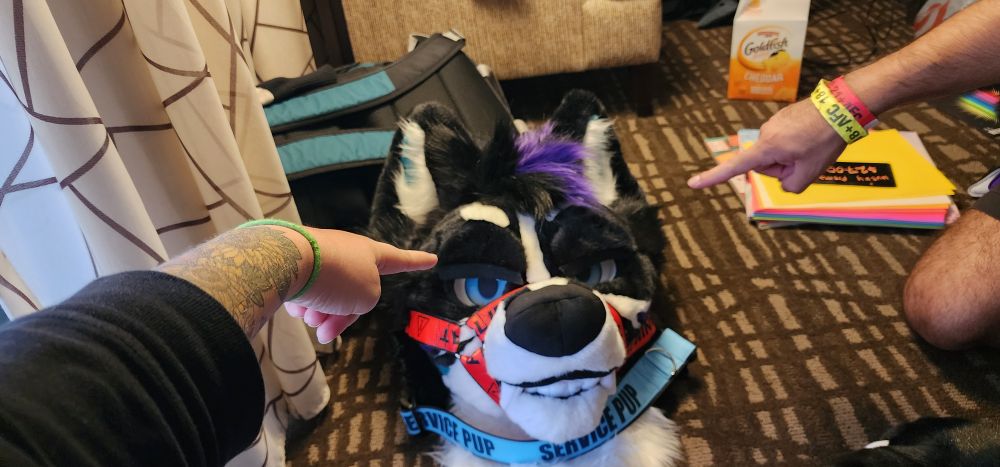 2 people (myself and Sif) pointing their fingers at a fursuit head (Sif-made by me) the fursuit is wearing a red harness and a blue collar with the words "Service Pup" in black text 