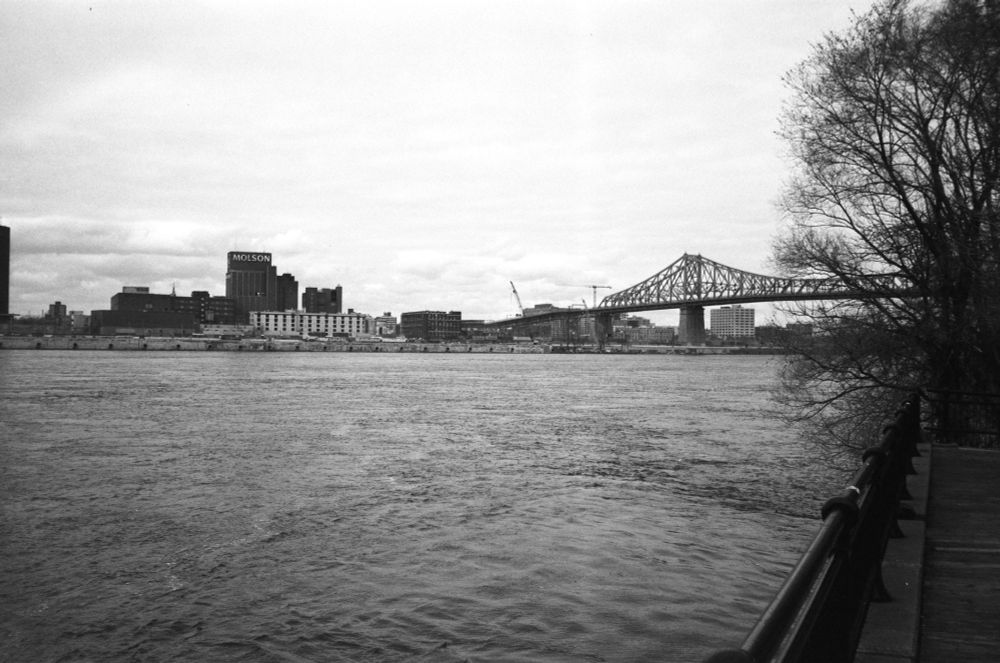 black & white: view across the river towards the molson building and the jacques-cartier bridge