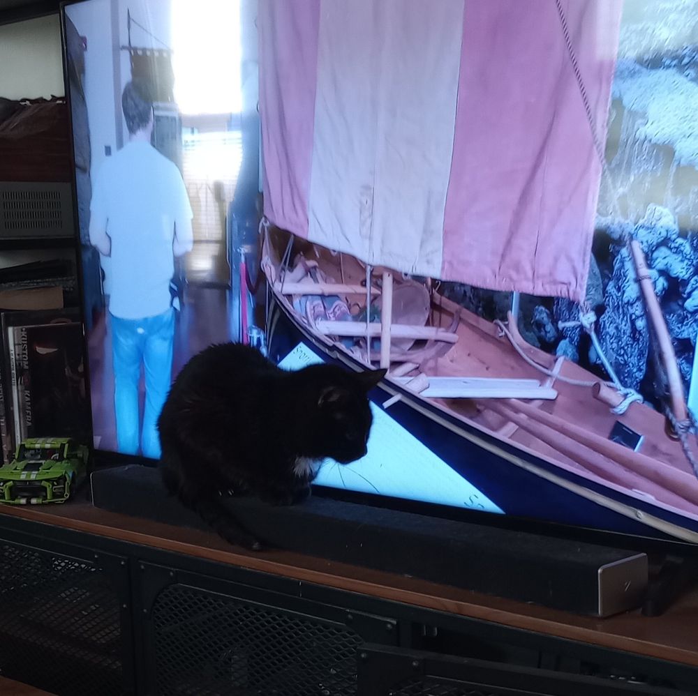 A black cat is sitting atop a speaker bar in front of a TV, looking forlorn. The TV is playing a show and the cat is obstructing the view of the TV.