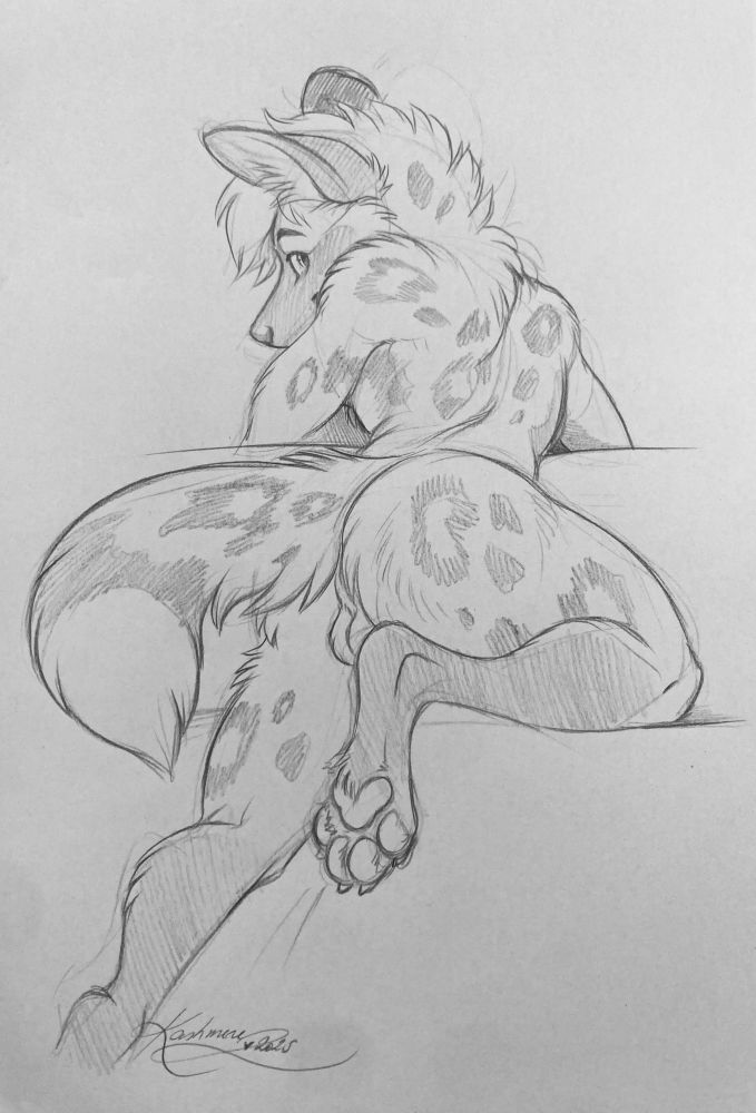 African Wild Dog with his leg up, turning around to look at the viewer 