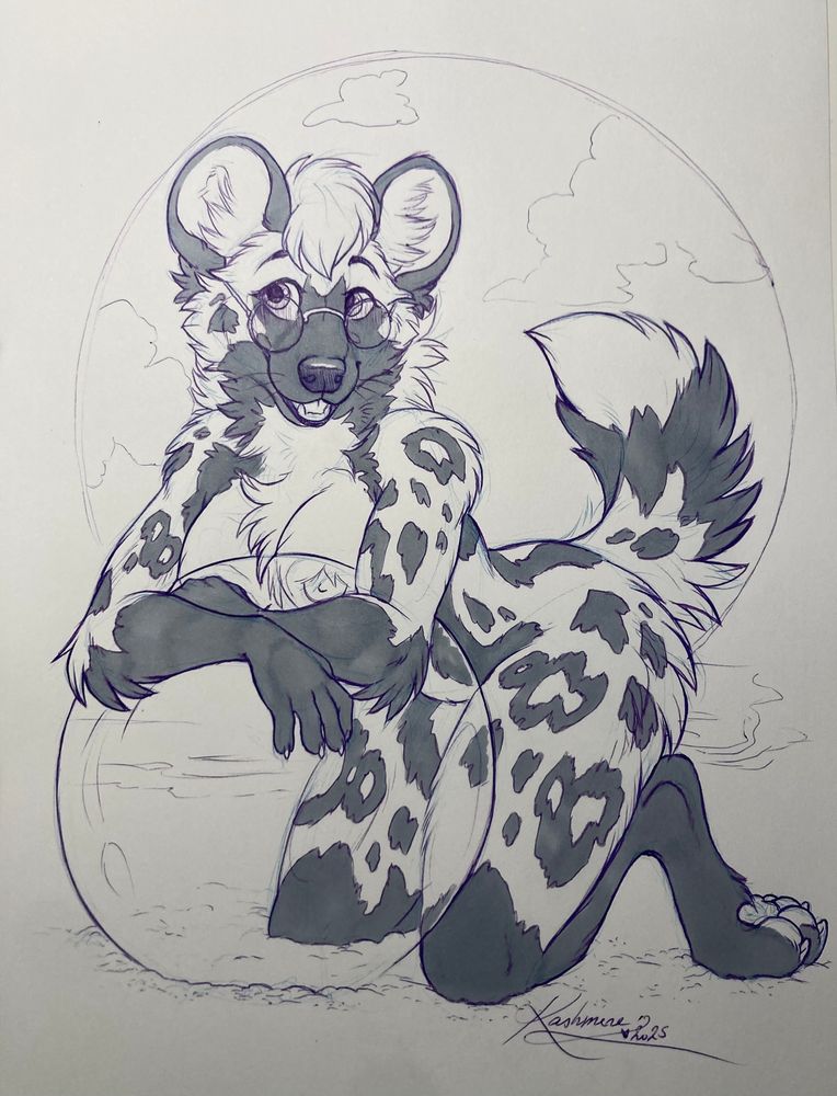 Naked African wild dog leaning on a see-through beach ball