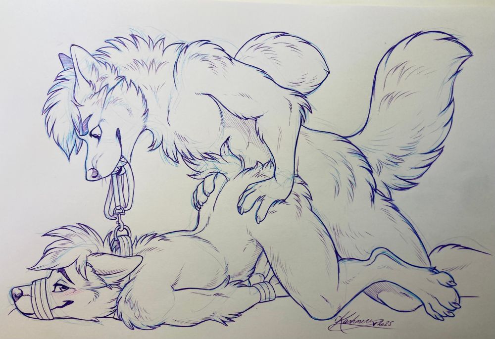Canine holding the leash in his mouth, mounting a muzzled canine 