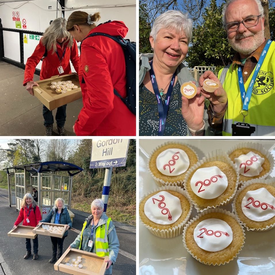 200 small iced cakes being offered to travellers at Gordon Hill on the morning of 4/4/2025.