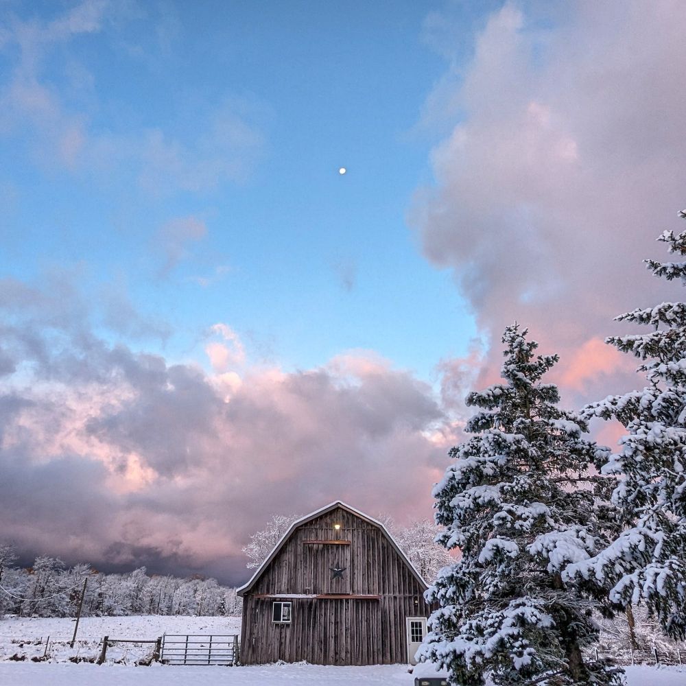 A dramatic morning sky, gray clouds touched with pink from the opposing sunrise, creates a backdrop for snow covered trees and a quaint weathered barn. The moon is visible in a patch of blue sky directly above the barn.