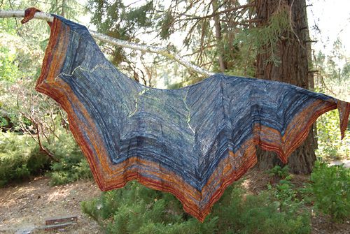 huge shawl hanging on a tree limb.