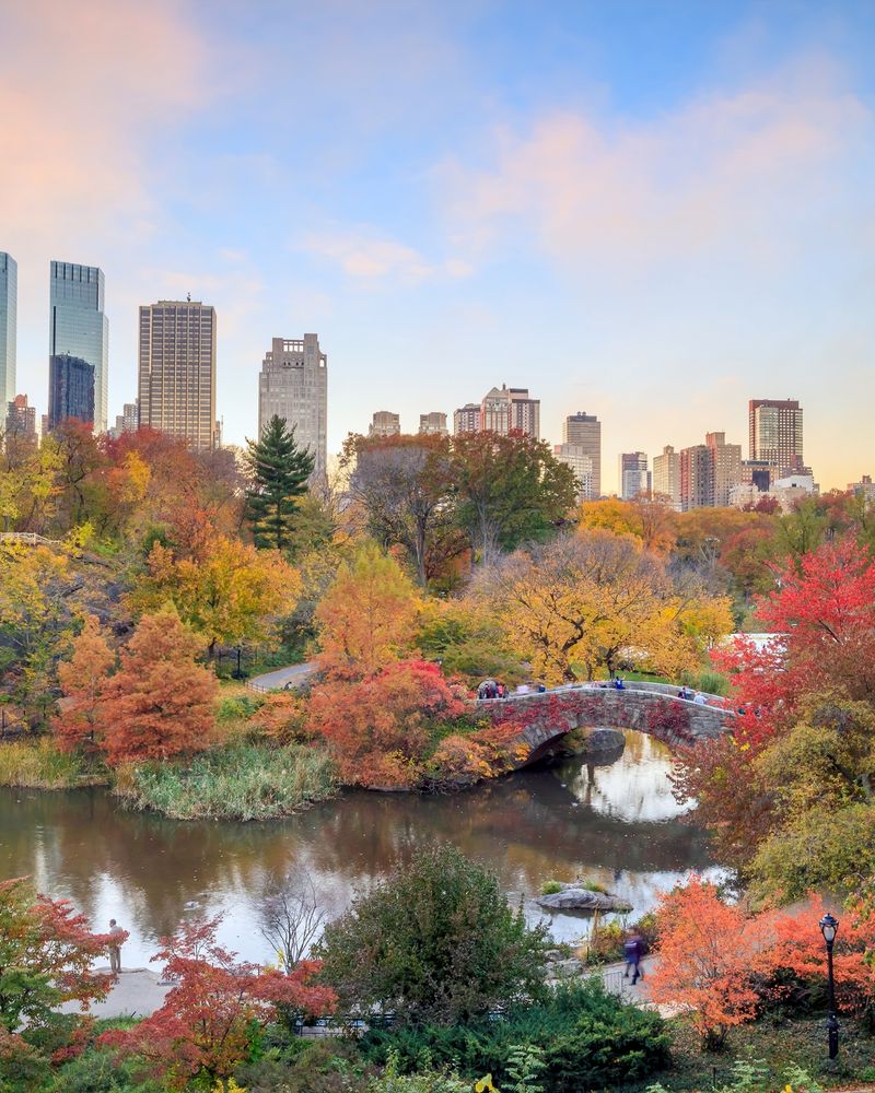 An urban park in fall with many deciduous trees changing color. 