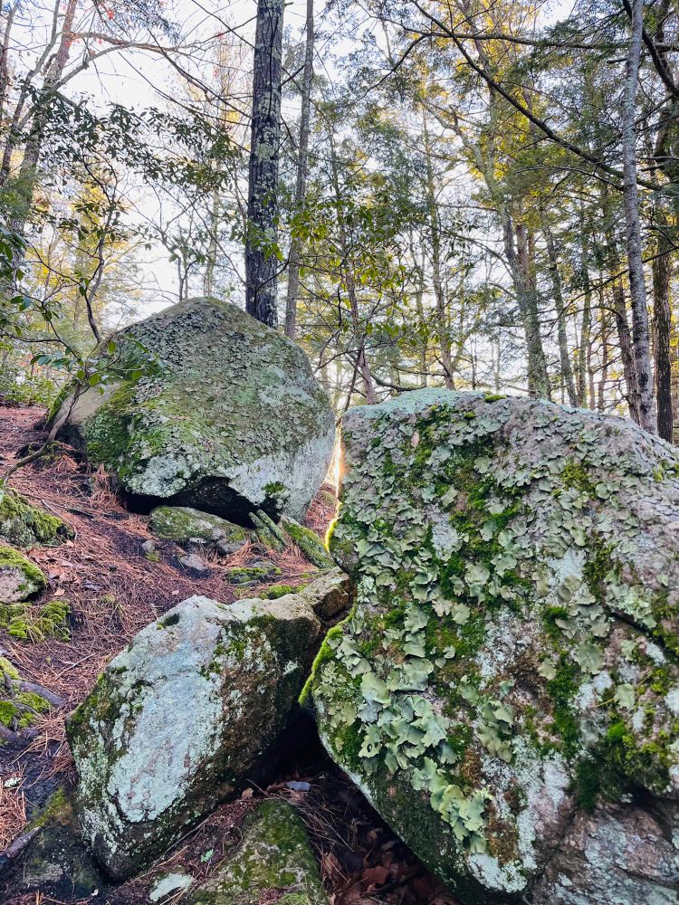 Picture of the sun behind a cool, mossy rock