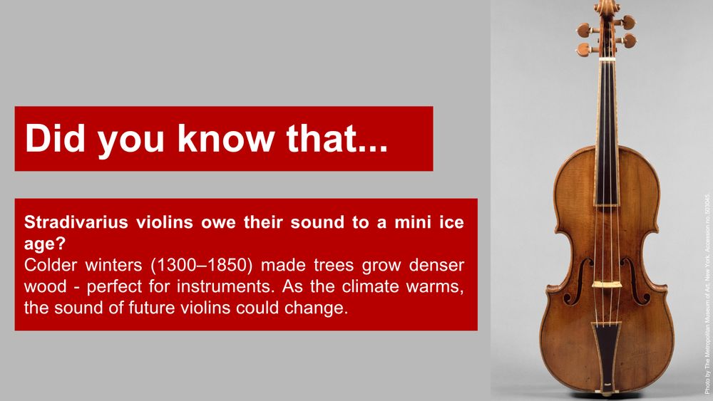 Photo of a Stradivarius violin on a plain grey background.