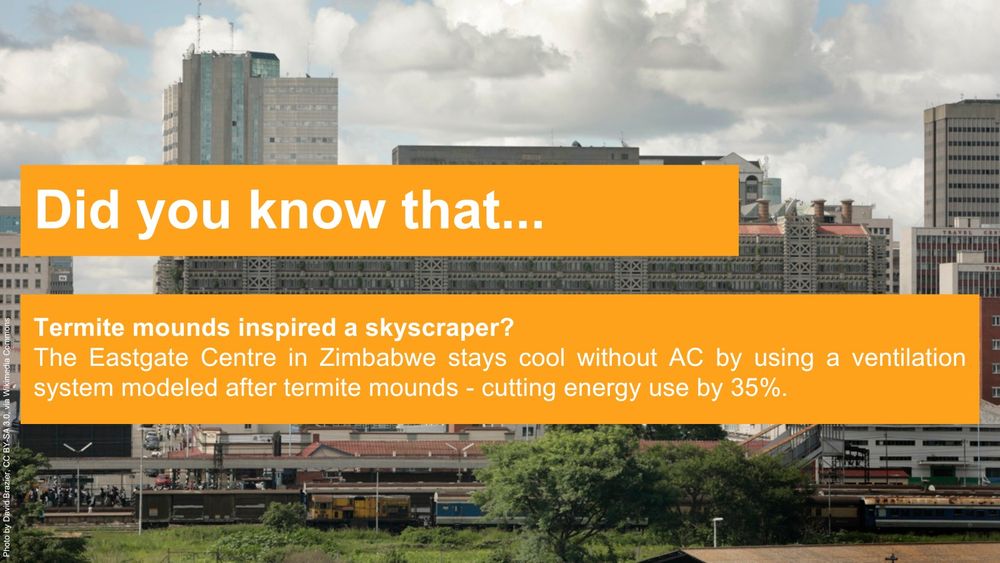 Image of the Eastgate Centre in Zimbabwe