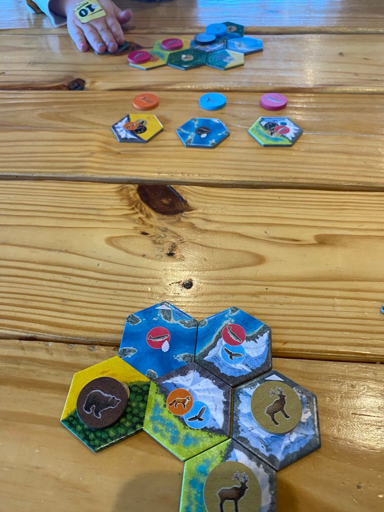 A shot of the game Cascadia about four turns in. 