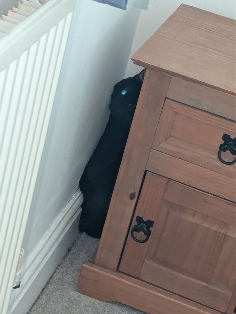 A photo of a black cat hiding between a white wall on the left and a wooden bedside cabinet on the right. One eye, catching the camera flash, glints a blue-green like the waters of a tropical sea.