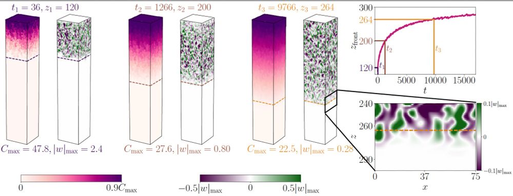Snapshots from a thermohaline convection (a kind of fluid motion that happens in oceans and in stars) simulation are shown. A thermohaline-unstable layer propagating into an underlying stable layer is visualized by showing the chemical composition and vertical velocity at three different times, showing how the turbulent dynamics move downwards with time. Two other panels show (a) how the boundary of the thermohaline-unstable region evolves monotonically with time, and (b) a zoom-in of the boundary at a late time to show that turbulent motions "overshoot" beyond the boundary a bit.