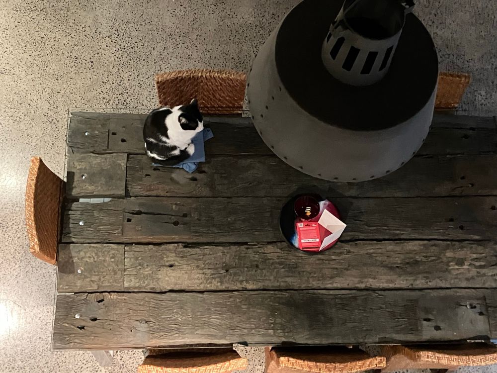 Black and white Pussycat sitting on a blue folded t-shirt on a dining table made from railway sleepers. Picture is taken from the mezzanine floor above which shows top part of the grey light shade