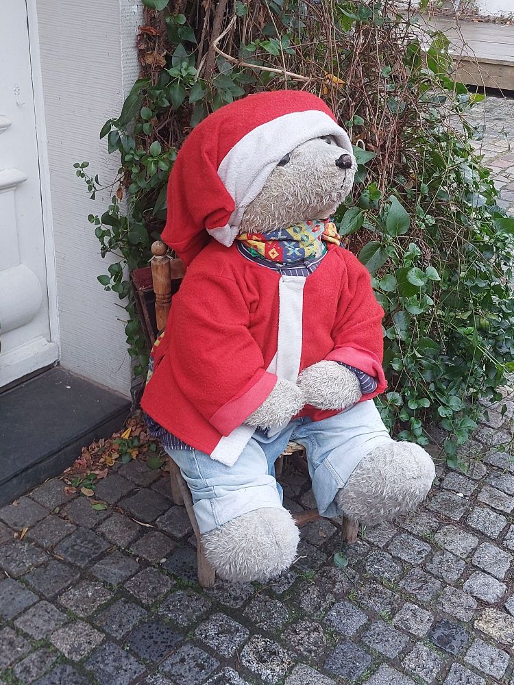 Ein Bär im Weihnachtsmann Kostüm.